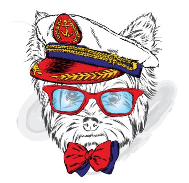 Kaptan'ın Cap şirin köpek. Vektör çizim. Yorkshire korkunç.