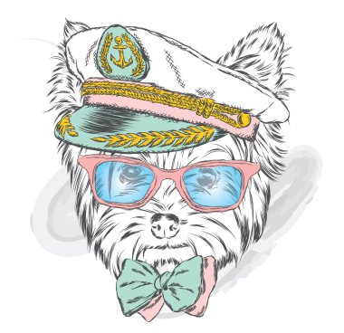 Kaptan'ın Cap şirin köpek. Vektör çizim. Yorkshire korkunç.