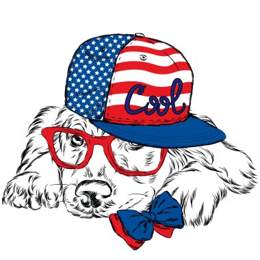Vektör köpek. Kartpostal Labrador ile. Hipster.