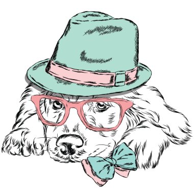 Safkan köpek. Labrador bir şapka, güneş gözlüğü ve bir kravat takıyor. Vektör çizim tebrik kartı, poster ya da giyim üzerine baskı için.