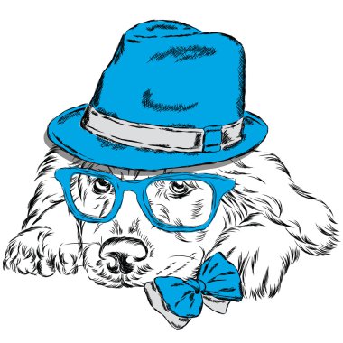 Safkan köpek. Labrador bir şapka, güneş gözlüğü ve bir kravat takıyor. Vektör çizim tebrik kartı, poster ya da giyim üzerine baskı için.