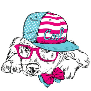 Vektör köpek. Kartpostal Labrador ile. Hipster.