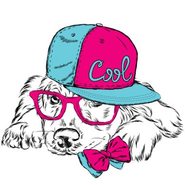 Vektör köpek. Kartpostal Labrador ile. Hipster.