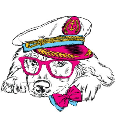 Kaptan'ın cap köpek. Şirin köpek. Vektör çizim.