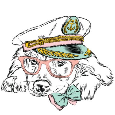 Kaptan'ın cap köpek. Şirin köpek. Vektör çizim.