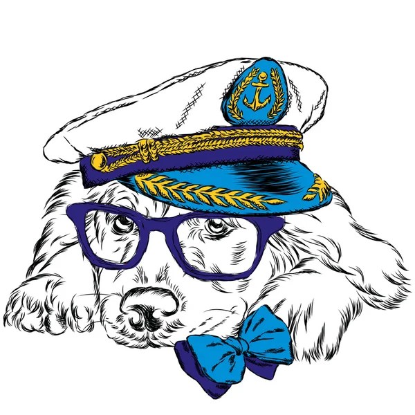 Cane nel cappello del capitano. Bel cagnolino. Illustrazione vettoriale . — Vettoriale Stock