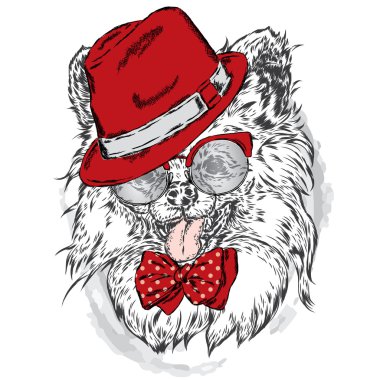 Şirin köpek yavrusu vektör. Yorkshire korkunç bir şapka ve güneş gözlüğü.