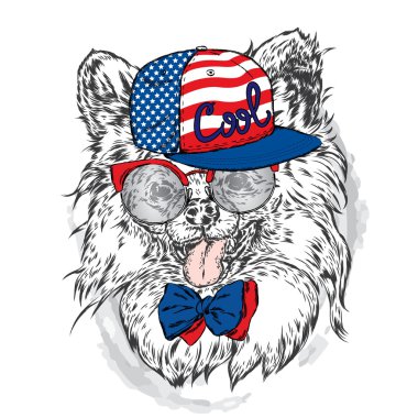 Şirin köpek yavrusu vektör. Yorkshire korkunç bir şapka ve güneş gözlüğü takmış.