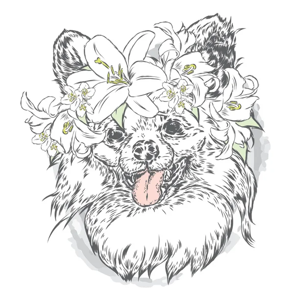Un cucciolo carino che indossa una corona di fiori. Illustrazione vettoriale per biglietto di auguri, poster o stampa su vestiti. Moda e stile. Vintage. Bellissimo cane . — Vettoriale Stock