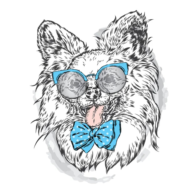 Lindo cachorro con gafas de sol. Ilustración vectorial. Hermoso perro. Imagen para una tarjeta, póster o impresión en la ropa . — Vector de stock