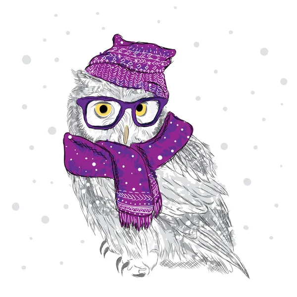 Owl in a cap and scarf were drawn by hand. Bird clothing. Glasses. — Stock Vector