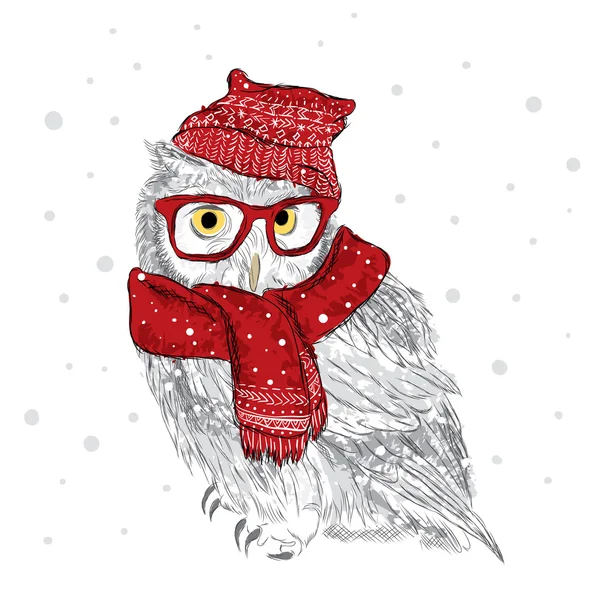 Owl in a cap and scarf were drawn by hand. Bird clothing. Glasses. — Stock Vector