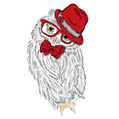 Şapka ve güneş gözlüğü takan baykuş. Moda Stili. Yazdırma. Hipster. Kuş vektörü.