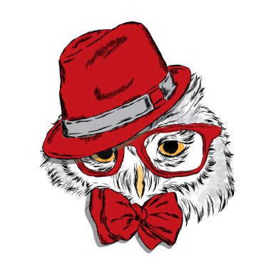 Şapka ve güneş gözlüğü takan baykuş. Moda Stili. Yazdırma. Hipster. Kuş vektörü.