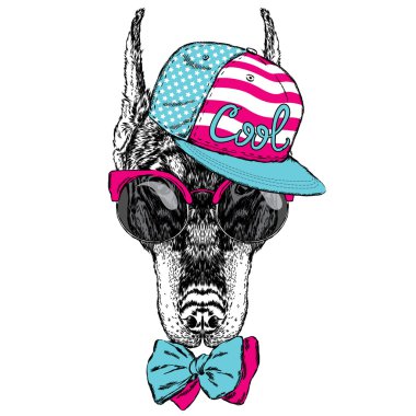 Güzel Doberman gözlük takıyor, şapka ve kravat takıyor. Tebrik kartı, poster veya giysilere baskı için vektör çizimi. Soy köpeği.