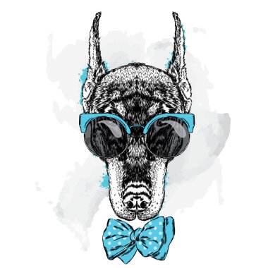 Güzel Doberman gözlük ve kravat takıyor. Tebrik kartı, poster veya giysilere baskı için vektör çizimi. Soy köpeği.