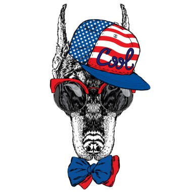 Güzel Doberman gözlük takıyor, şapka ve kravat takıyor. Tebrik kartı, poster veya giysilere baskı için vektör çizimi. Soy köpeği.