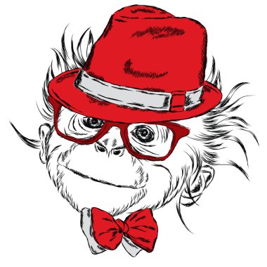 Hipster. Maymunlu kartpostal. Bir tebrik kartı, poster veya giysilere baskı için vektör çizimi.