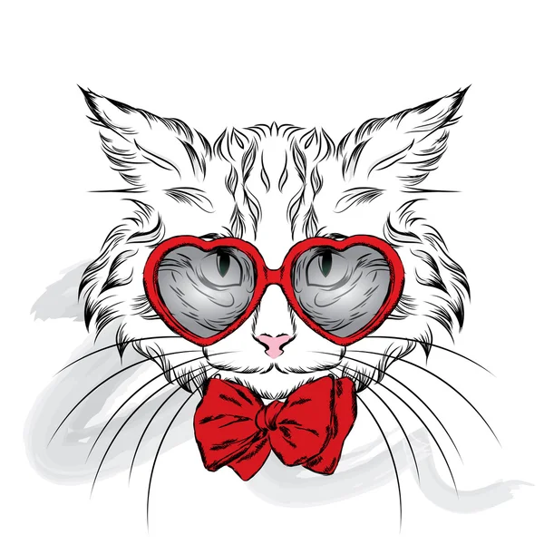 Schattige kat in de kleren. Hipster. Vector illustratie voor wenskaart, poster, of afdrukken op kleding. — Stockvector