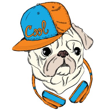 Pug bir kap ve kulaklık ile serin. Köpek vektör. Elbise veya kart yazdırma. Hipster.