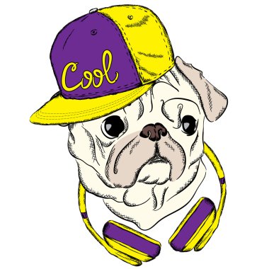 Pug bir kap ve kulaklık ile serin. Köpek vektör. Elbise veya kart yazdırma. Hipster.