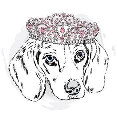 Bir taç giyen sevimli köpek. Vektör çizim. Tasarım öğesi için basılı ürünler ya da parmak izi giysi ve aksesuarları .