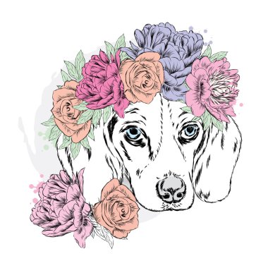 Bir taç giyen sevimli köpek yavrusu. Köpek vektör.