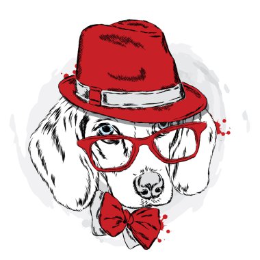 Şapka ve gözlük ile güzel köpek. Şirin köpek yavrusu.