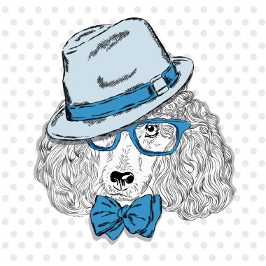 Şirin köpek. Bir şapka, güneş gözlüğü ve bir kravat takmış fino köpeği. Yazdırın. Hipster.
