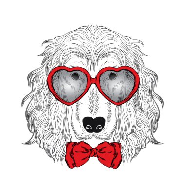 Bir kravat ve gözlük bir köpek. St. Valentine's Day. Kartı Spaniel.