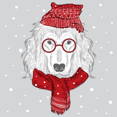 Vektör safkan köpek. İspanyol.