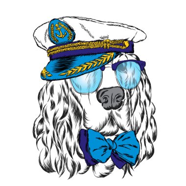İspanyol Kaptan'ın Cap. Bir köpek vektör çizim.
