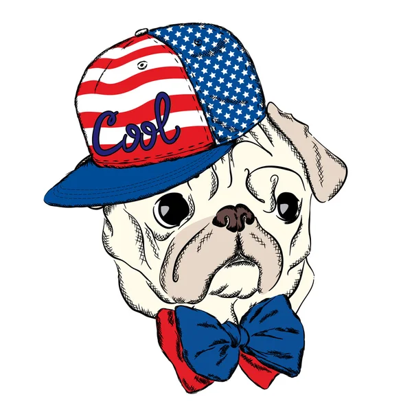 Vetor de cão. Hipster. Pug usando um boné e uma gravata. Ilustração vetorial para cartão, cartaz ou impressão em roupas . — Vetor de Stock