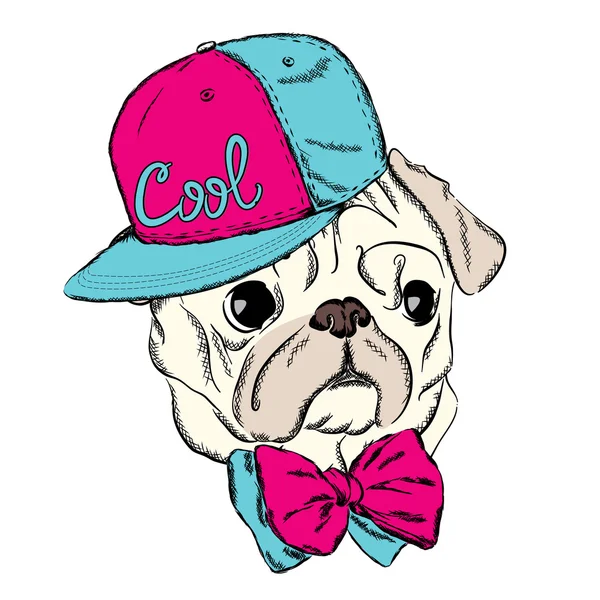 犬のベクトル。流行に敏感。パグは、帽子とネクタイを身に着けています。グリーティング カード、ポスター、または衣服に印刷用のベクトル図. — ストックベクタ