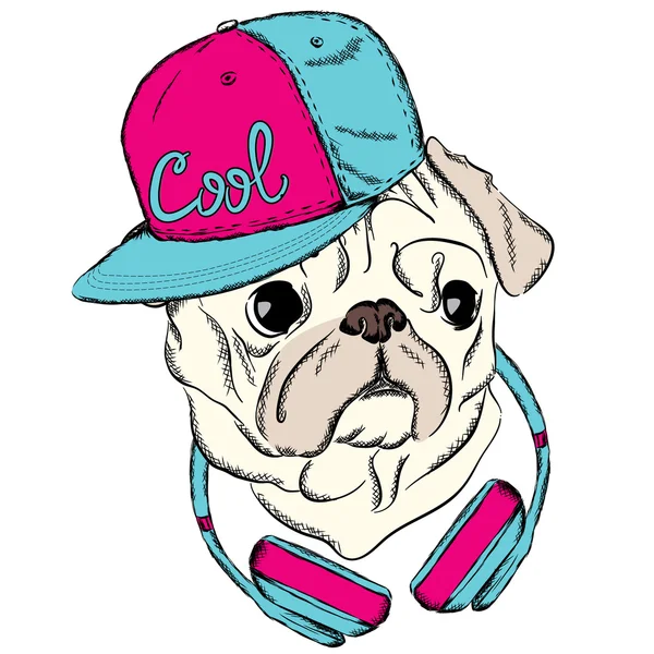 Pug legal com um boné e fones de ouvido. Vetor de cão. Imprima em roupas ou um cartão postal. Hipster. . — Vetor de Stock