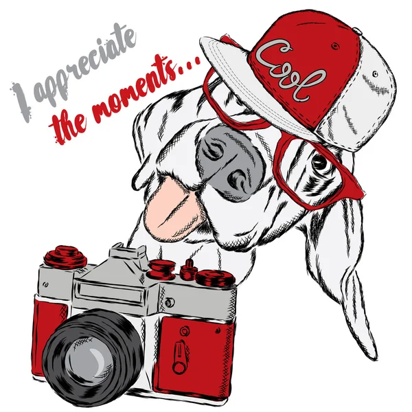 Komik köpek ile bir fotoğraf makinesi. Vektör çizim.