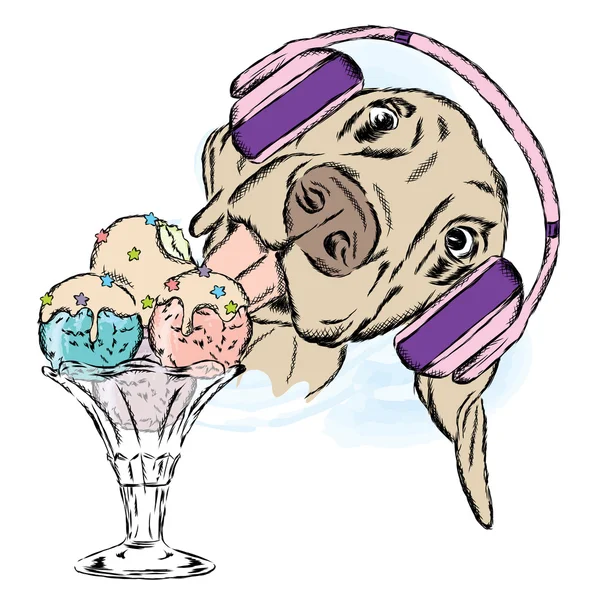 Dog eats ice cream. Vector illustration. Cute puppy with dessert. — Stock Vector
