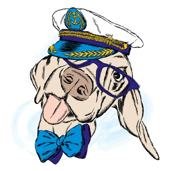 Pies w captain's cap. Marynarz. Ilustracja wektorowa. — Wektor stockowy