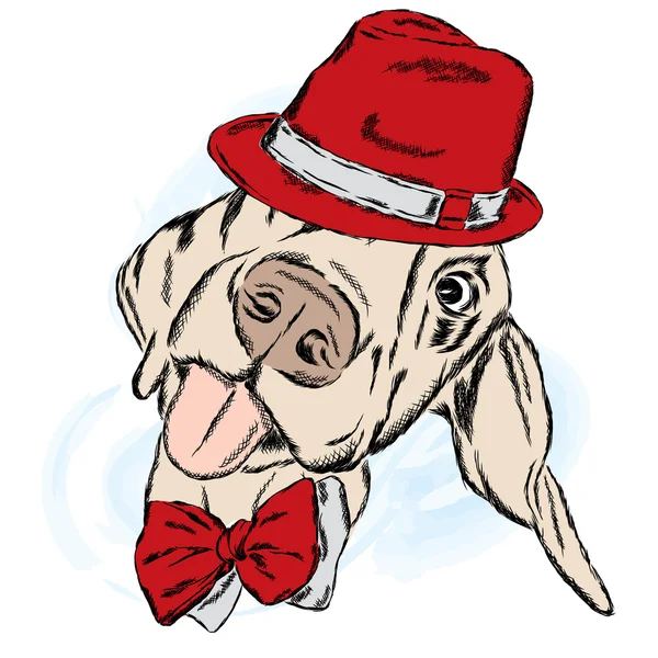 Cane carino con cappello e cravatta. Illustrazione vettoriale . — Vettoriale Stock