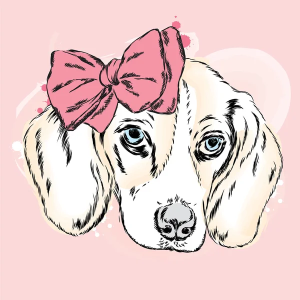 Bir yay ile şirin köpek yavrusu. Köpek vektör.