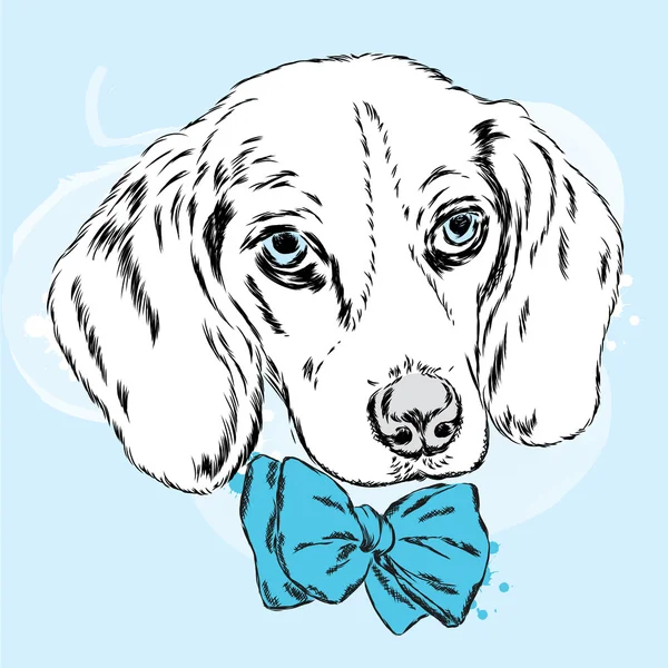 Bir yay ile şirin köpek yavrusu. Köpek vektör.