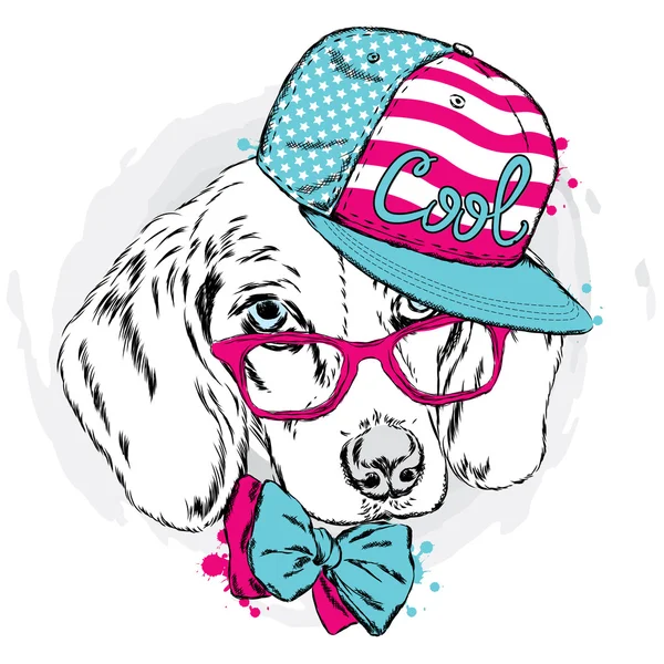 キャップとメガネでクールな犬は。かわいい子犬. — ストックベクタ