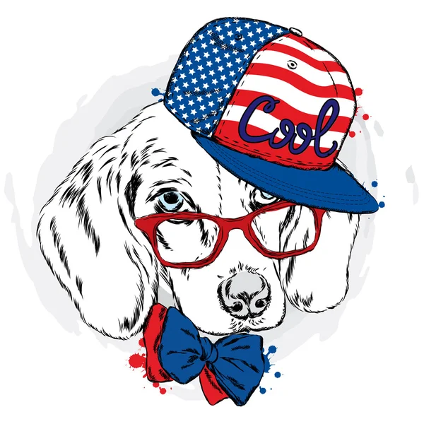 Cool hund i cap och glasögon. Söt valp. — Stock vektor