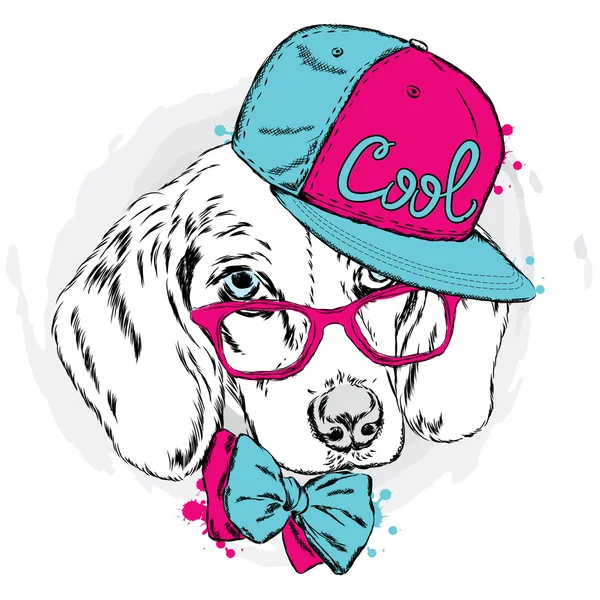 Chien cool en casquette et lunettes. Chiot mignon . — Image vectorielle