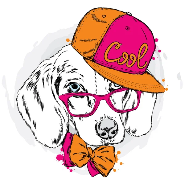 Chien cool en casquette et lunettes. Chiot mignon . — Image vectorielle