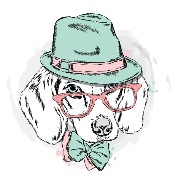 Şapka ve gözlük ile güzel köpek. Şirin köpek yavrusu.