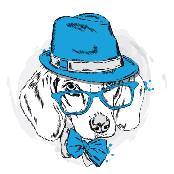 Şapka ve gözlük ile güzel köpek. Şirin köpek yavrusu.