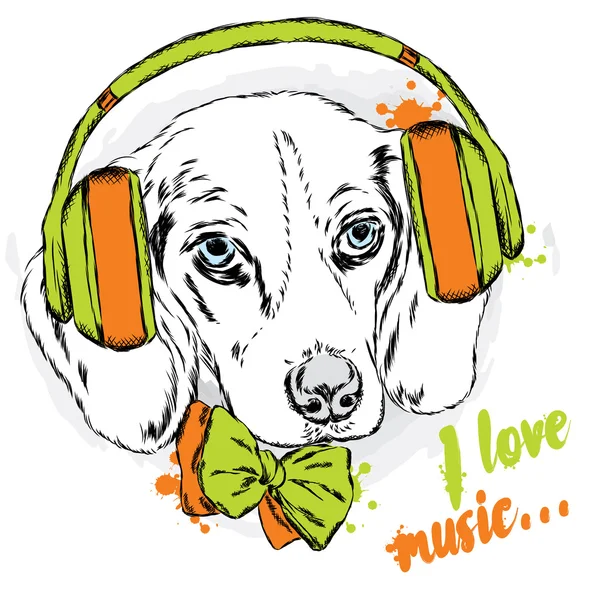 Güzel köpek ile kulaklıklar ve kravat. Şirin köpek yavrusu.