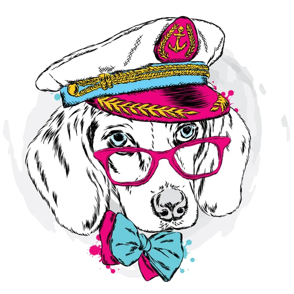 Sevimli köpek bir Kaptan'ın Cap. Sevimli köpek yavrusu. Vektör çizim.