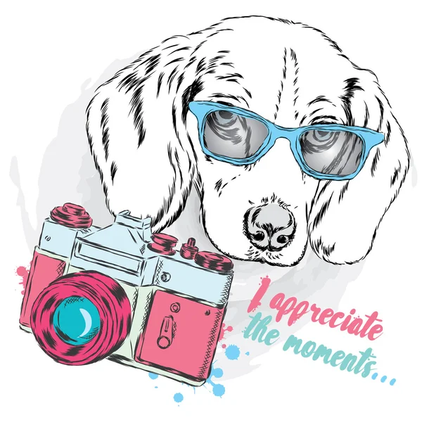 Perro fresco con gafas y una cámara. Lindo cachorro . — Vector de stock